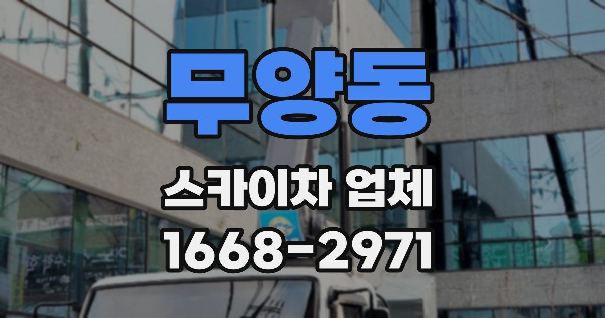 무양동 스카이차 업체