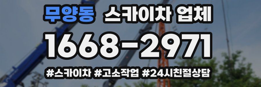 무양동 스카이차 업체