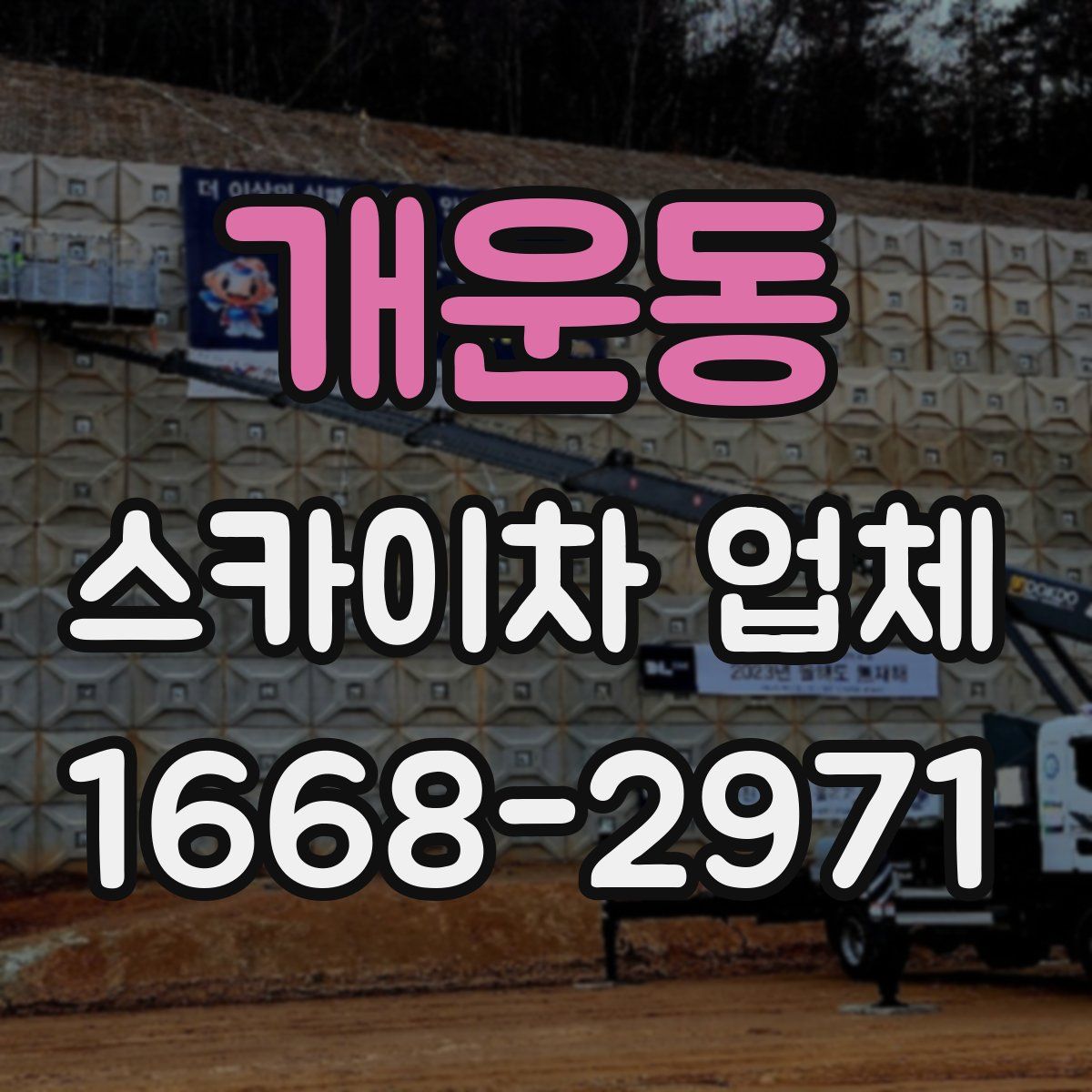 개운동 스카이차 업체