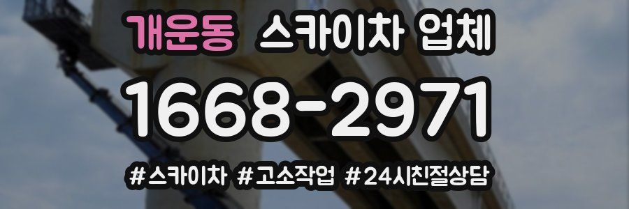개운동 스카이차 업체