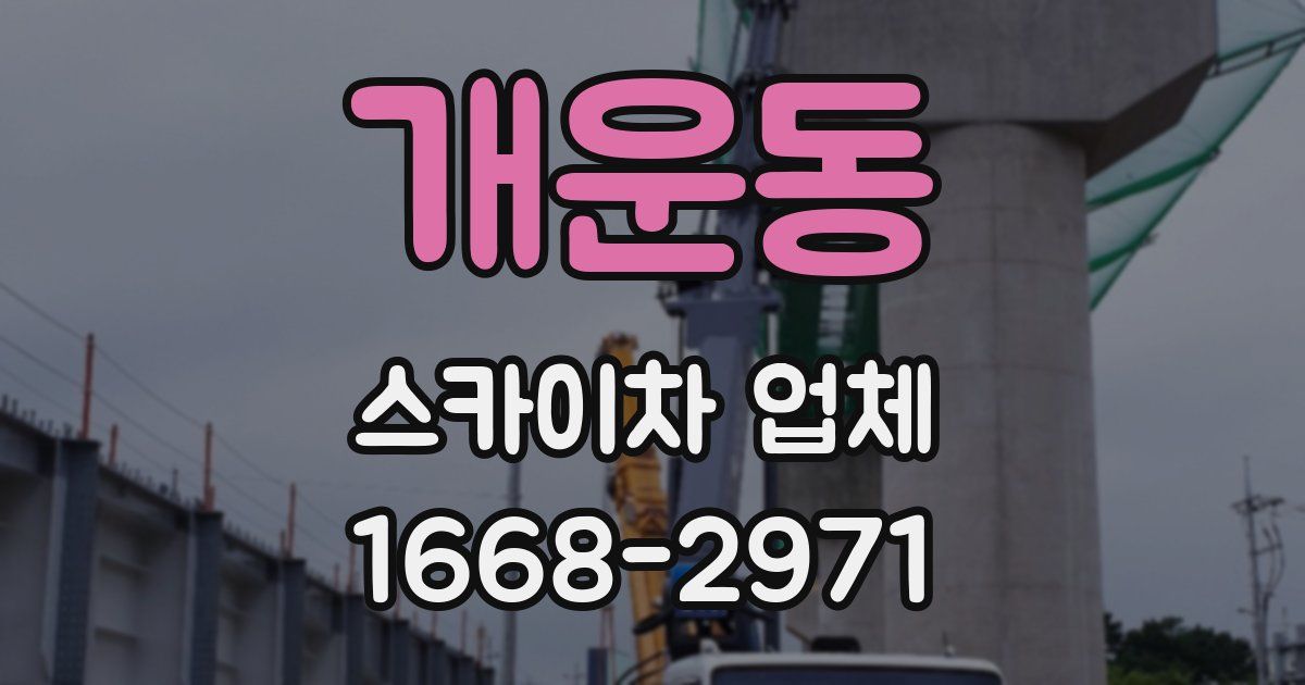 개운동 스카이차 업체
