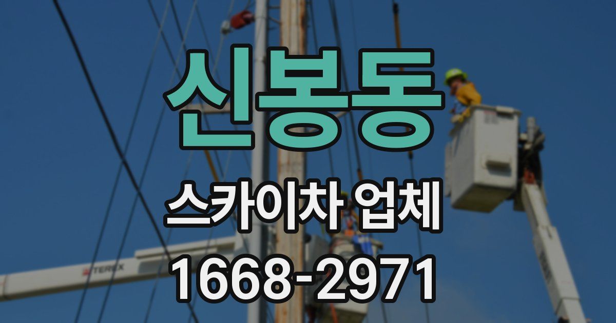 신봉동 스카이차 업체
