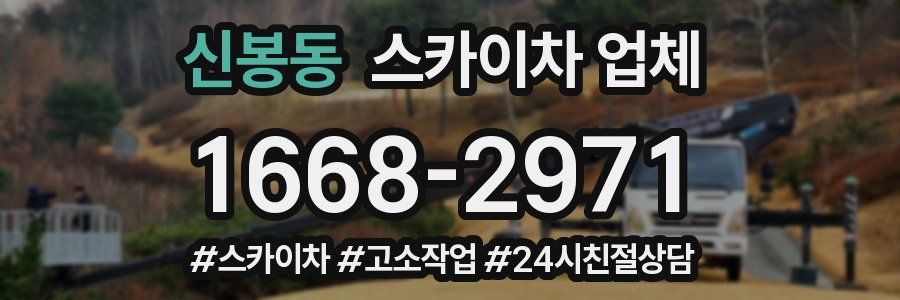 신봉동 스카이차 업체