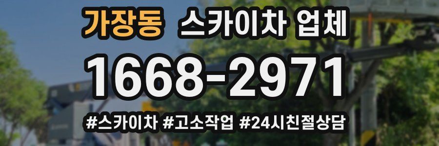 가장동 스카이차 업체