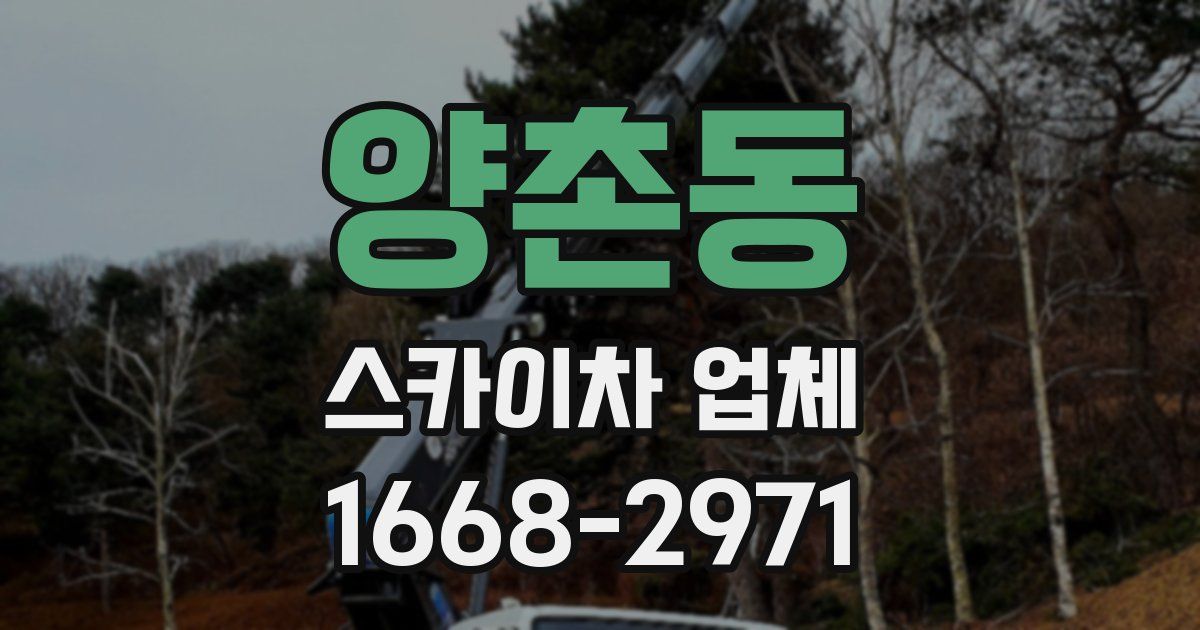 양촌동 스카이차 업체