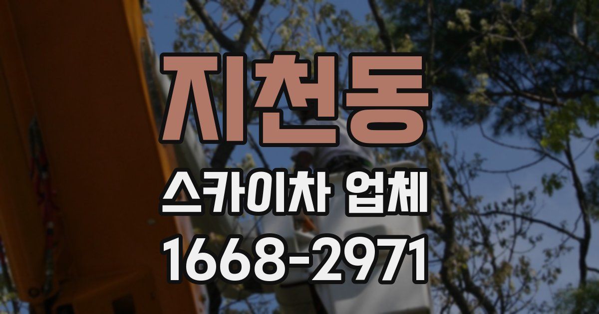 지천동 스카이차 업체