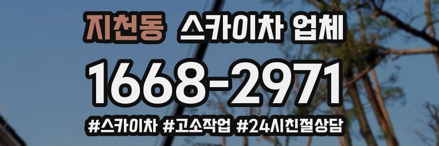 지천동 스카이차 업체