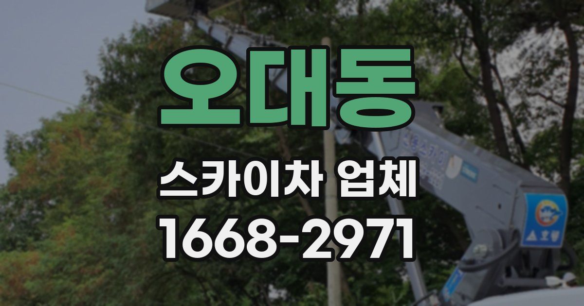 오대동 스카이차 업체