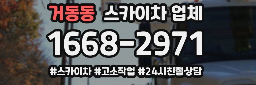 거동동 스카이차 업체
