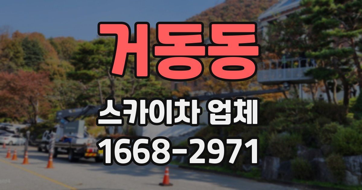 거동동 스카이차 업체