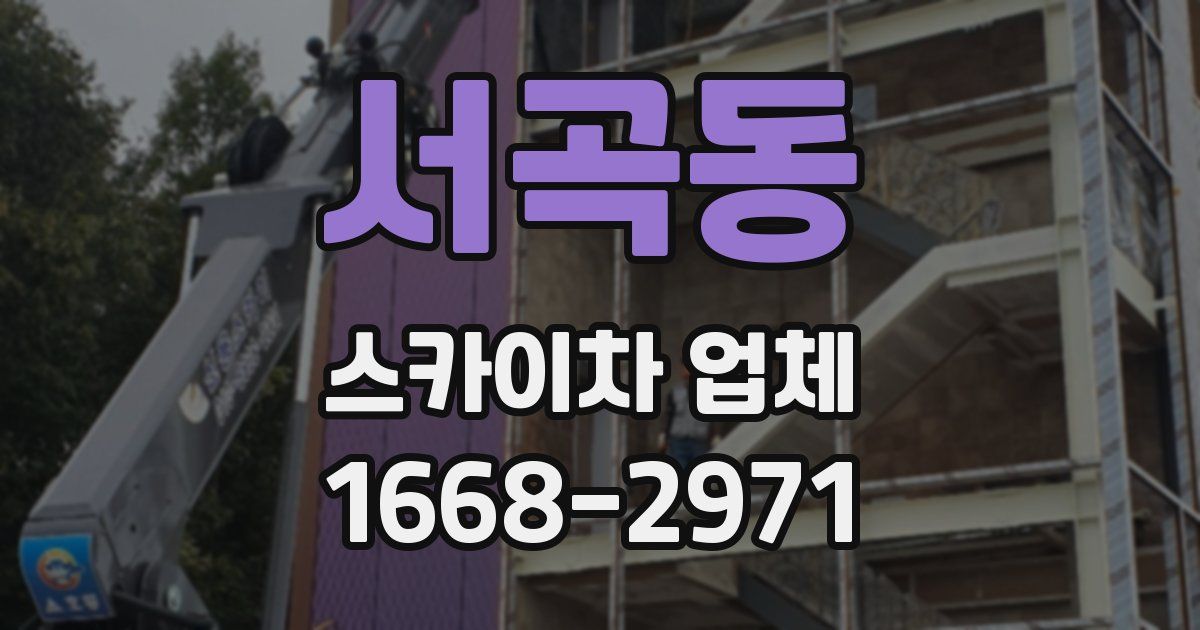 서곡동 스카이차 업체