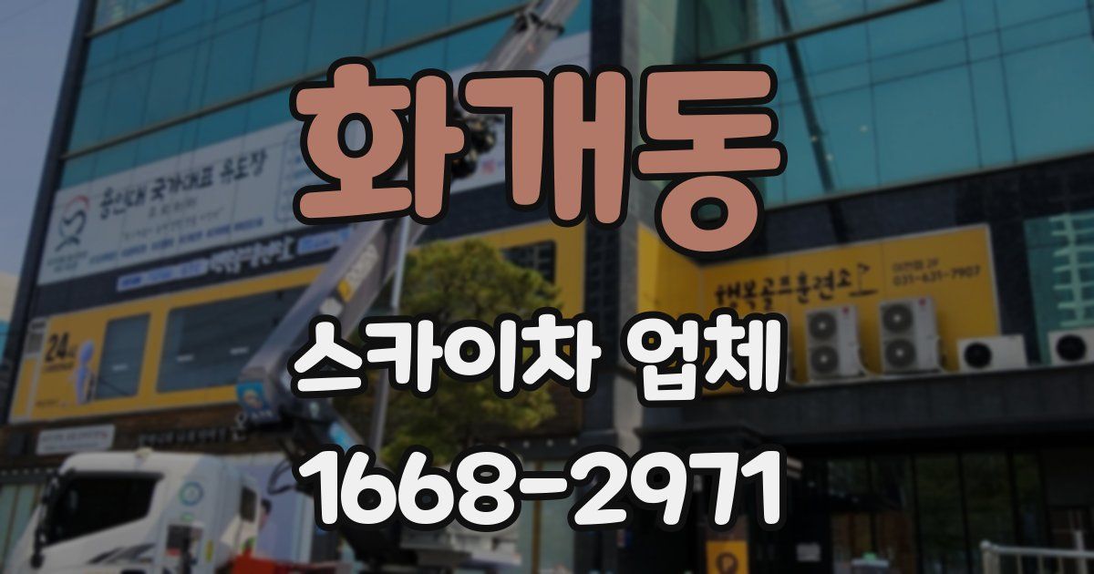 화개동 스카이차 업체