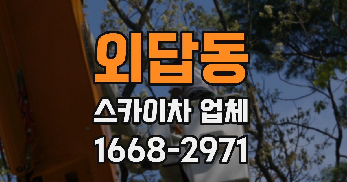 외답동 스카이차 업체