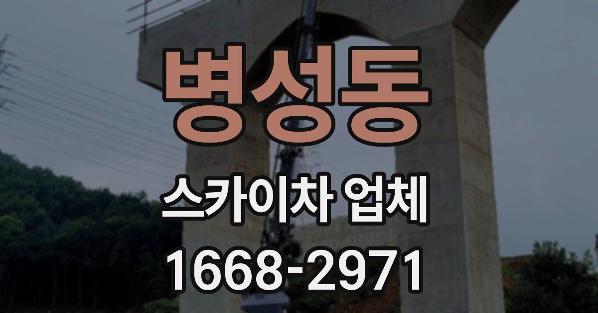 병성동 스카이차 업체