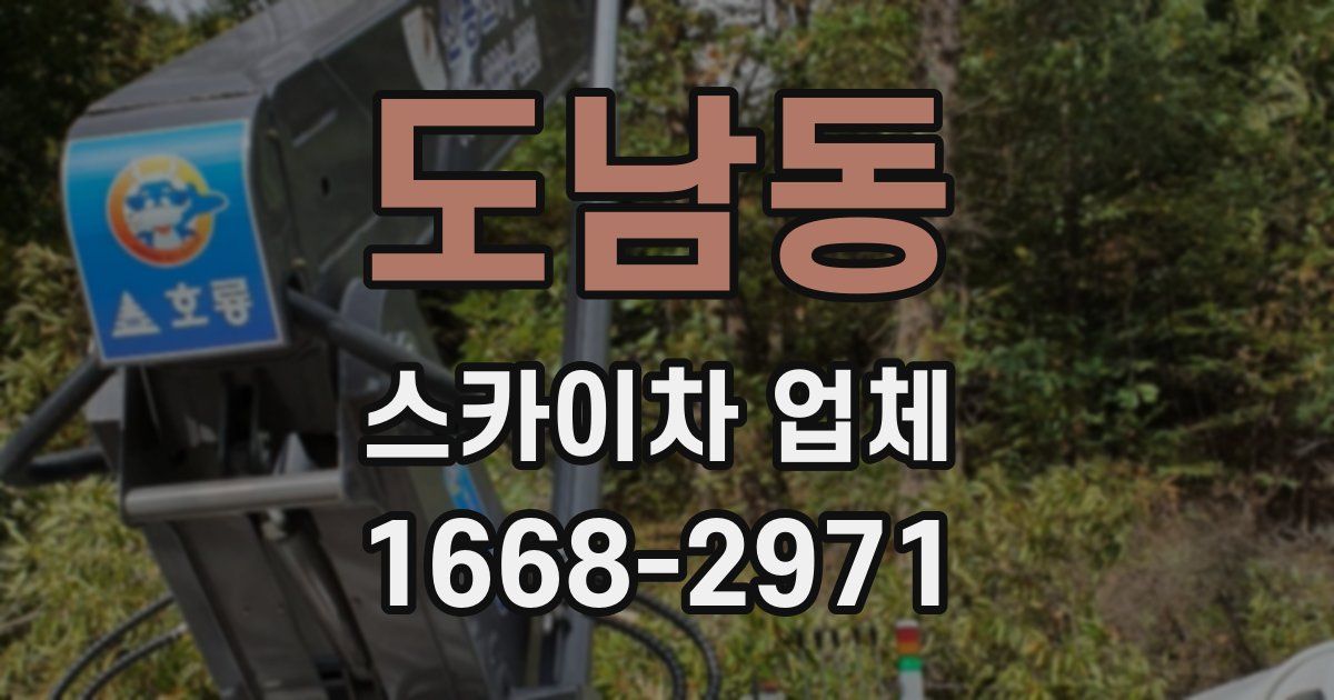 도남동 스카이차 업체