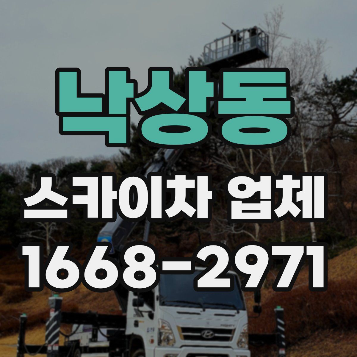 낙상동 스카이차 업체