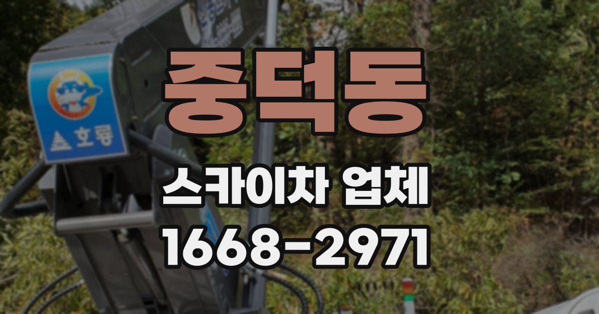 중덕동 스카이차 업체