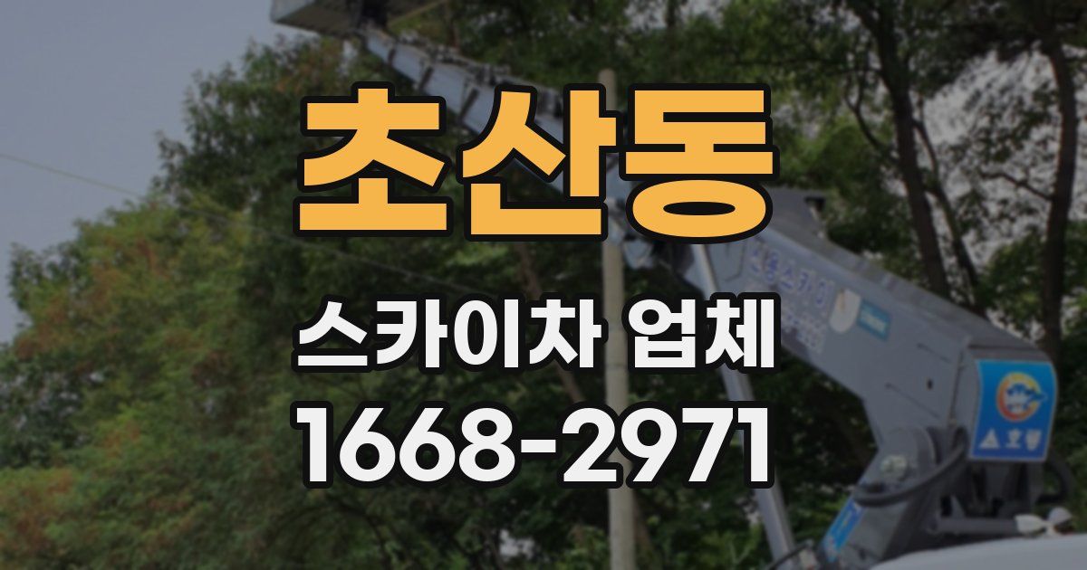 초산동 스카이차 업체