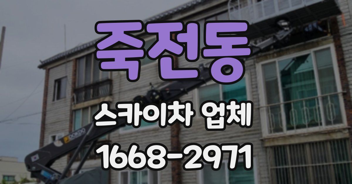 죽전동 스카이차 업체