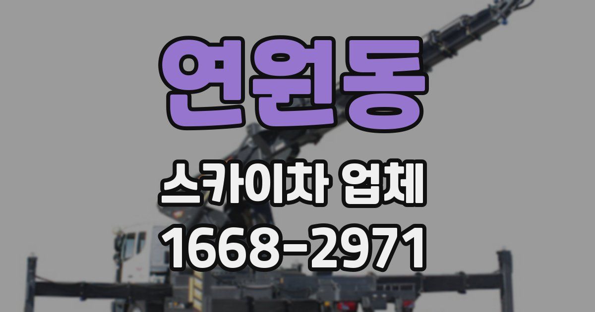 연원동 스카이차 업체