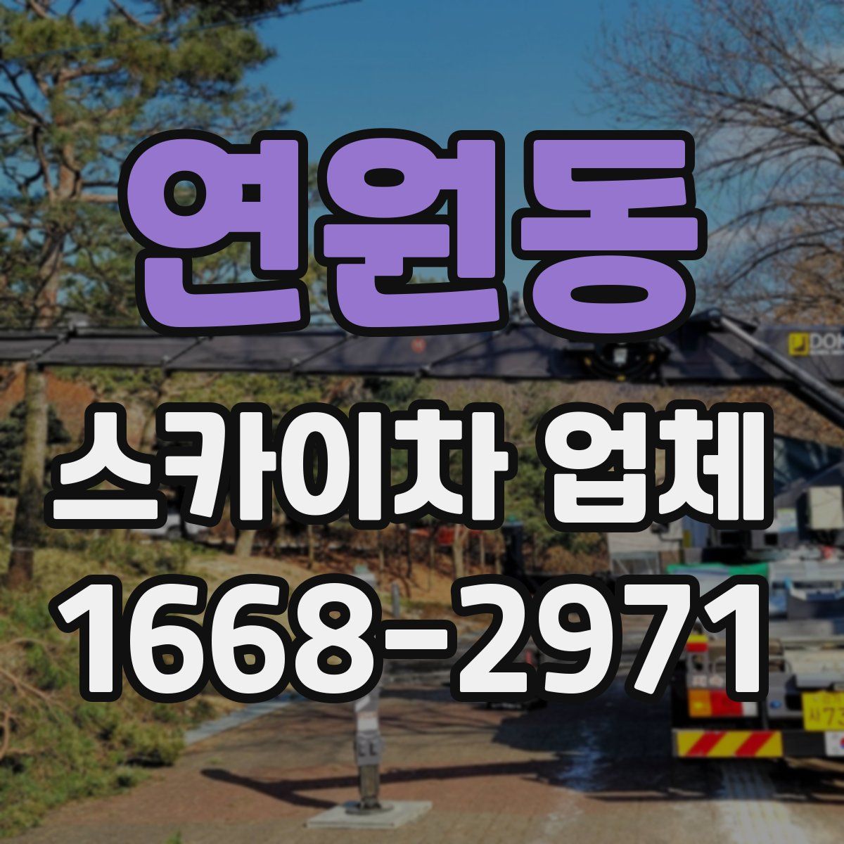 연원동 스카이차 업체