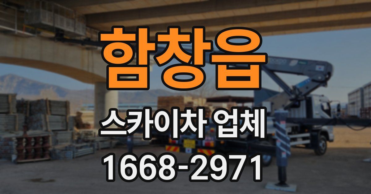 함창읍 스카이차 업체