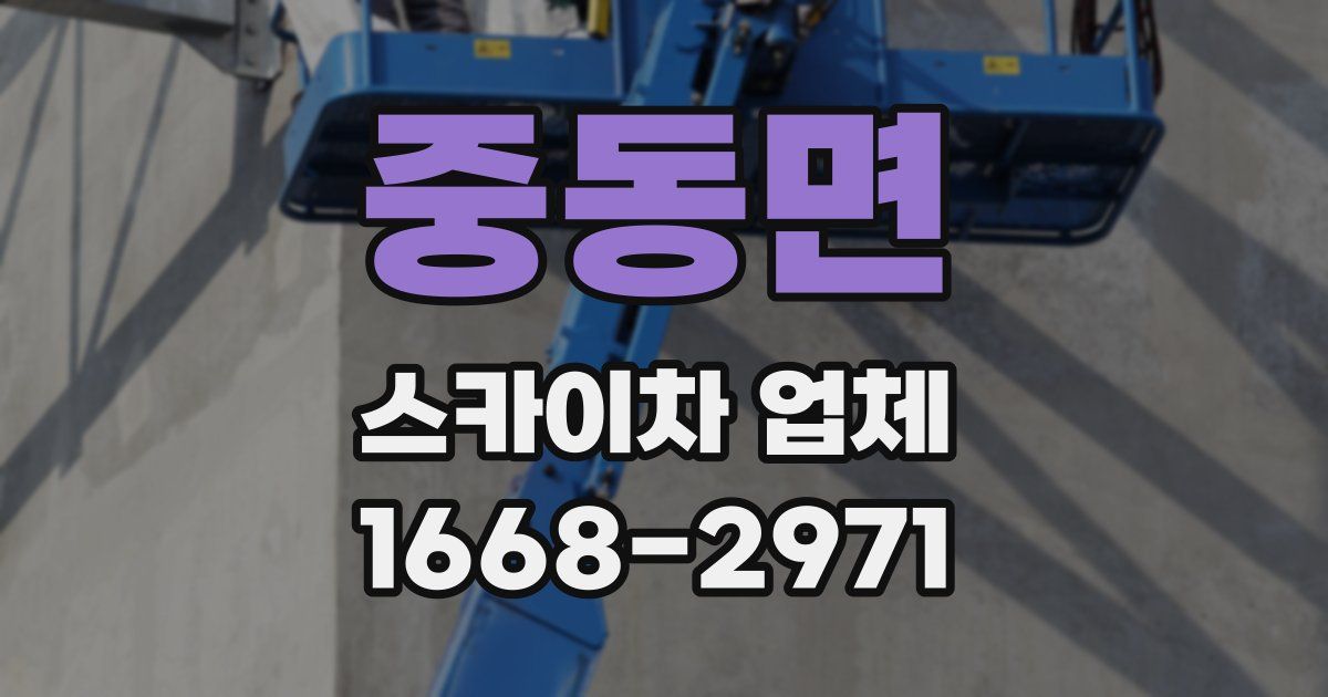중동면 스카이차 업체