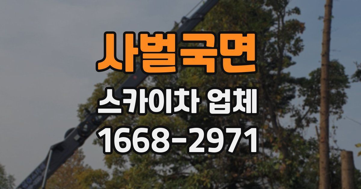 사벌국면 스카이차 업체