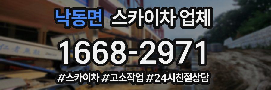 낙동면 스카이차 업체