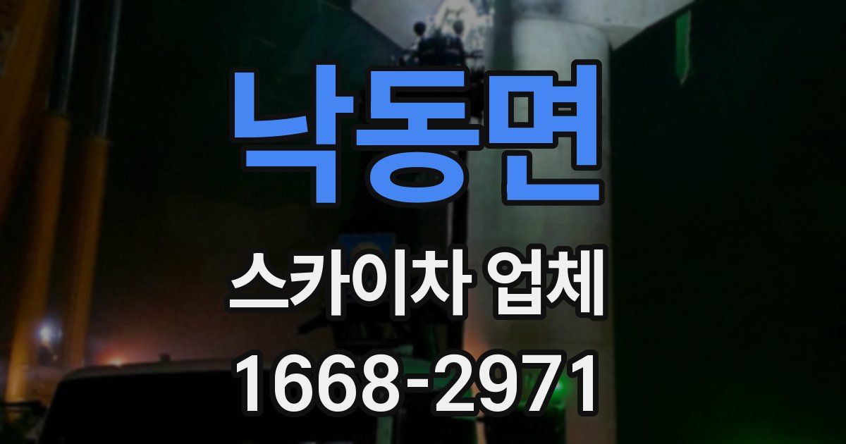 낙동면 스카이차 업체