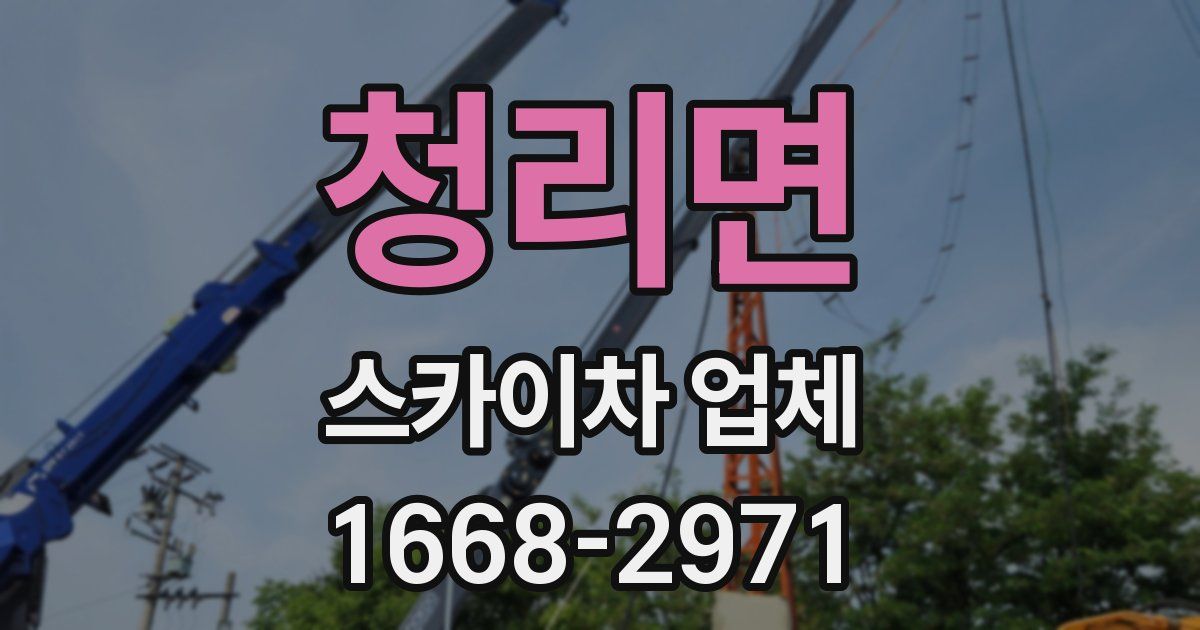청리면 스카이차 업체