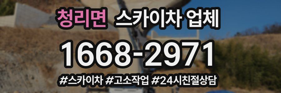 청리면 스카이차 업체