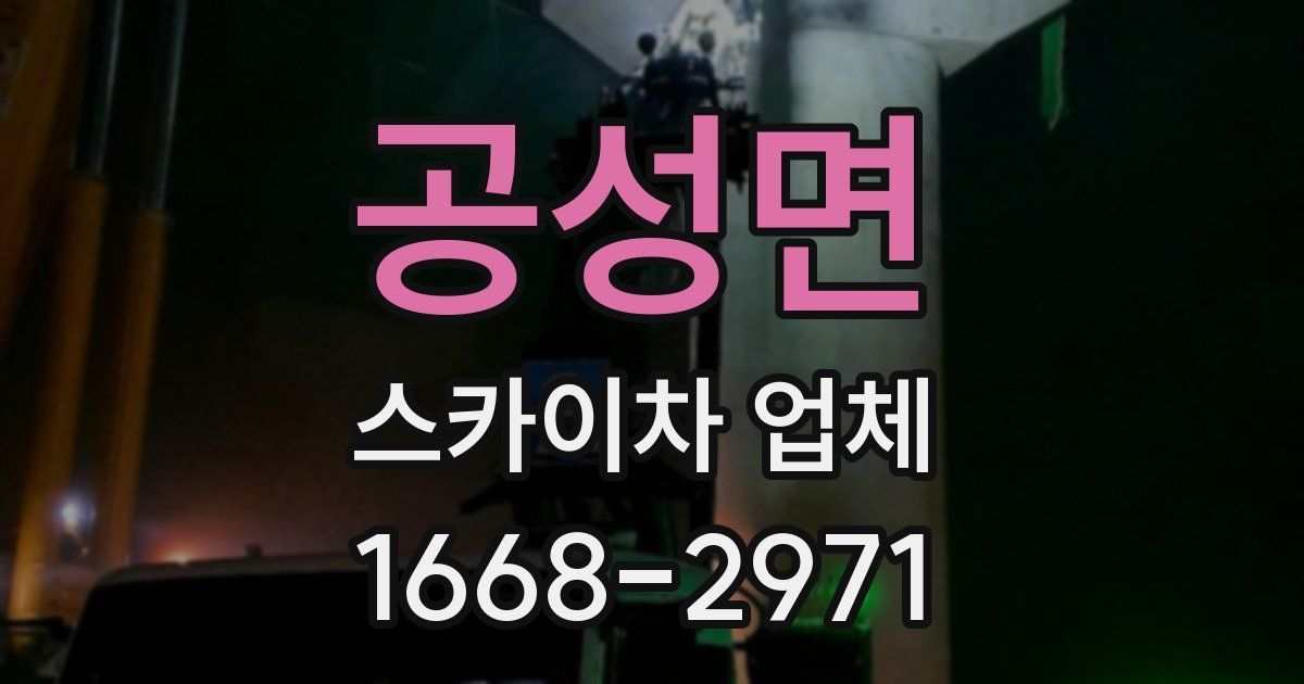 공성면 스카이차 업체