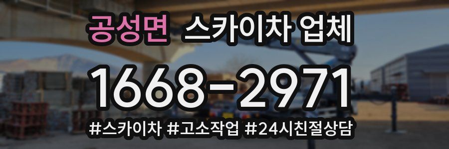 공성면 스카이차 업체