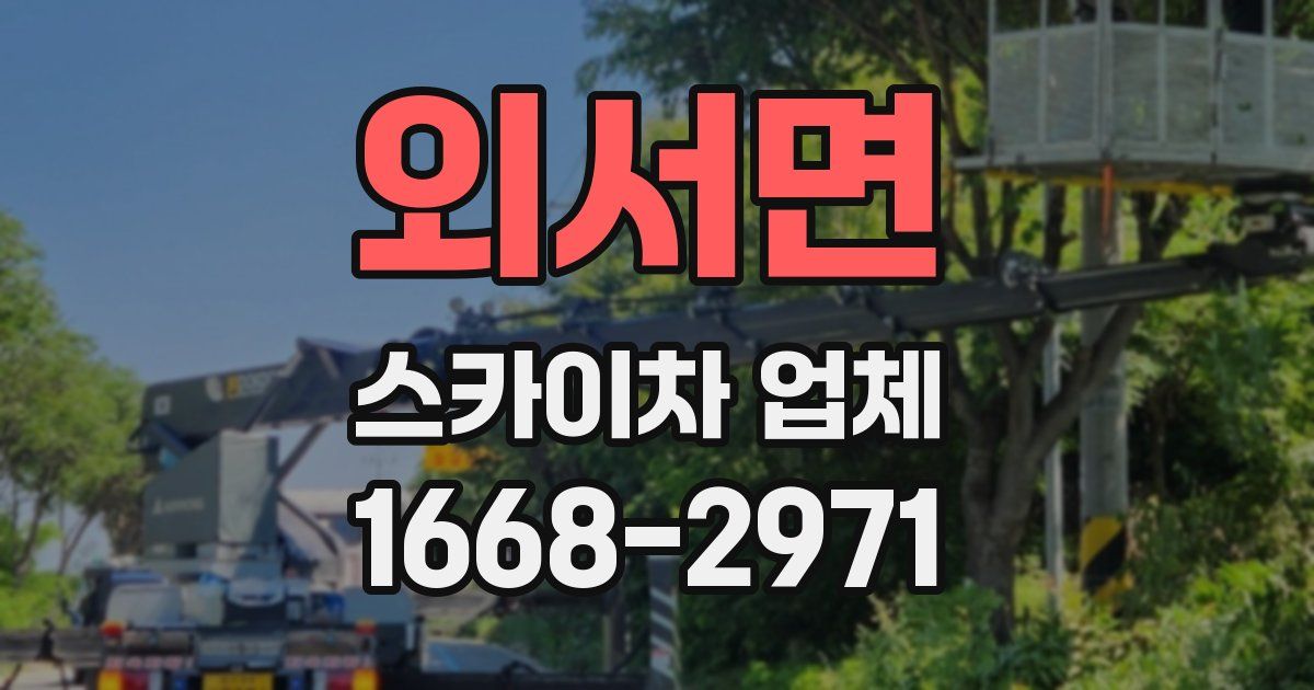 외서면 스카이차 업체