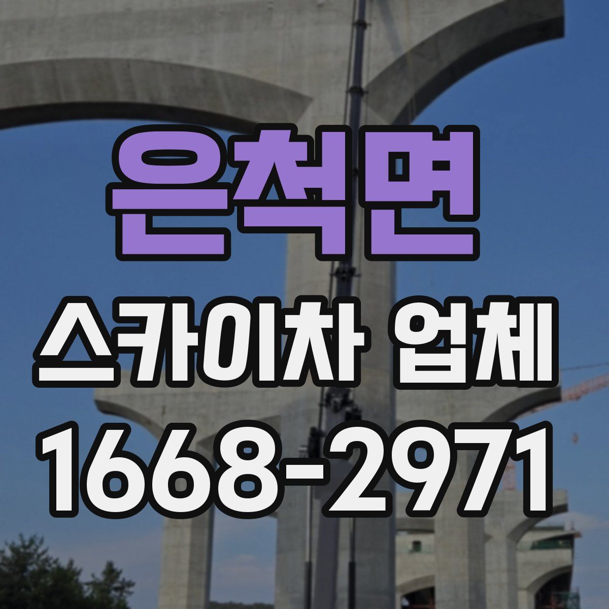 은척면 스카이차 업체