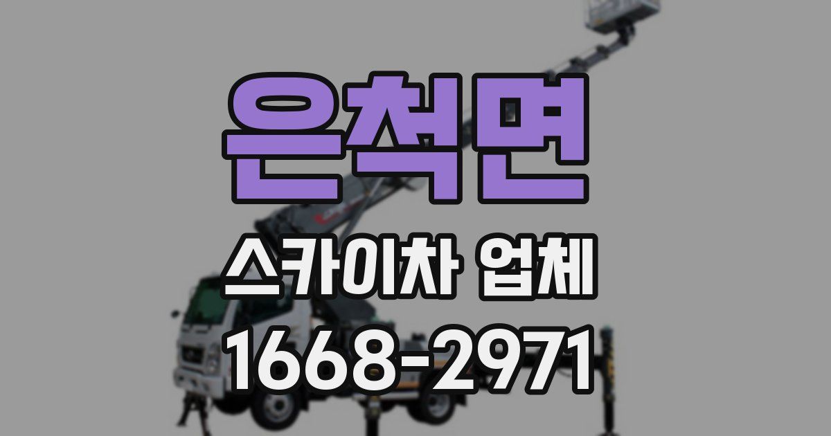 은척면 스카이차 업체