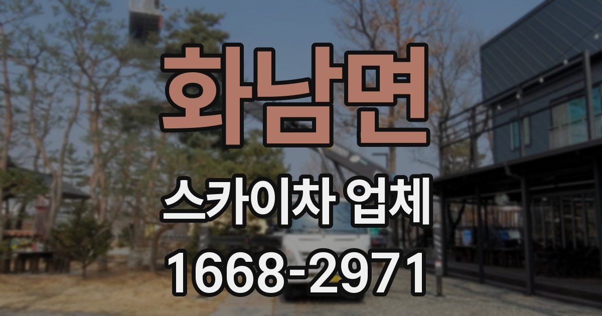화남면 스카이차 업체