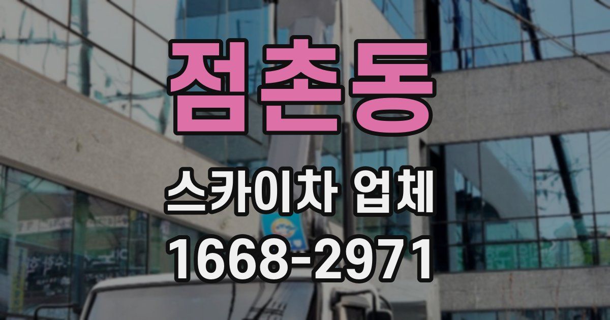 점촌동 스카이차 업체