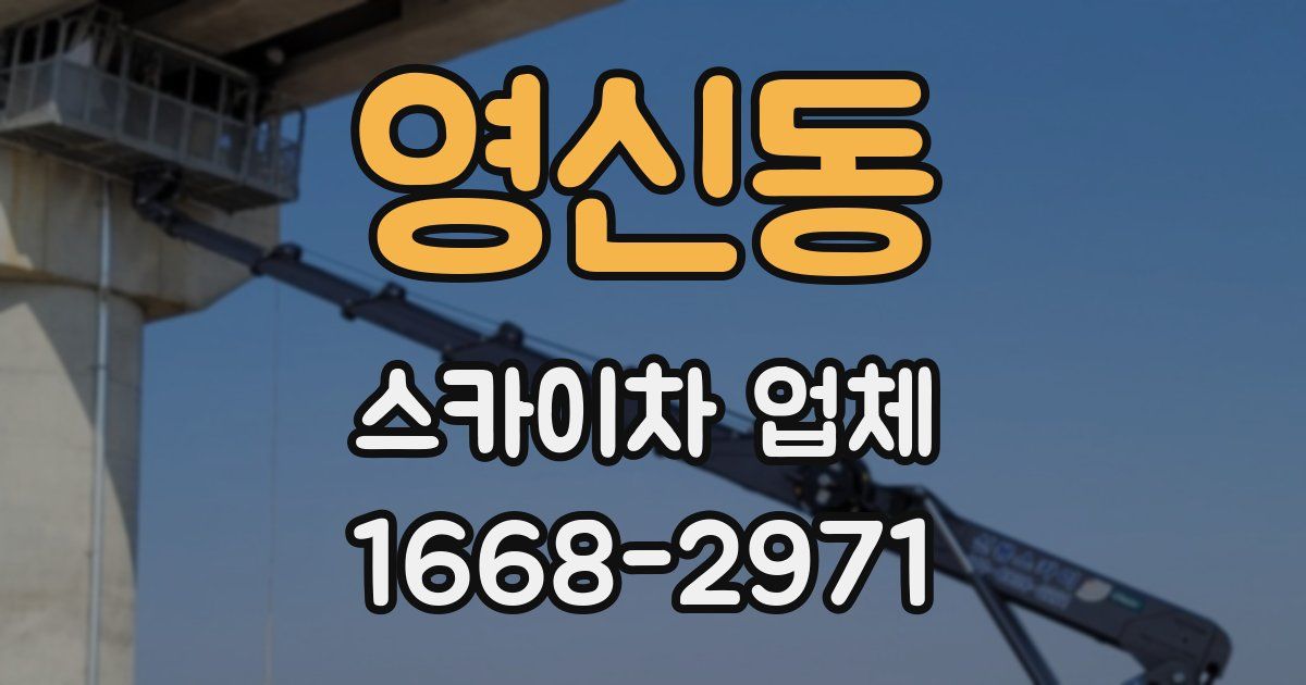 영신동 스카이차 업체