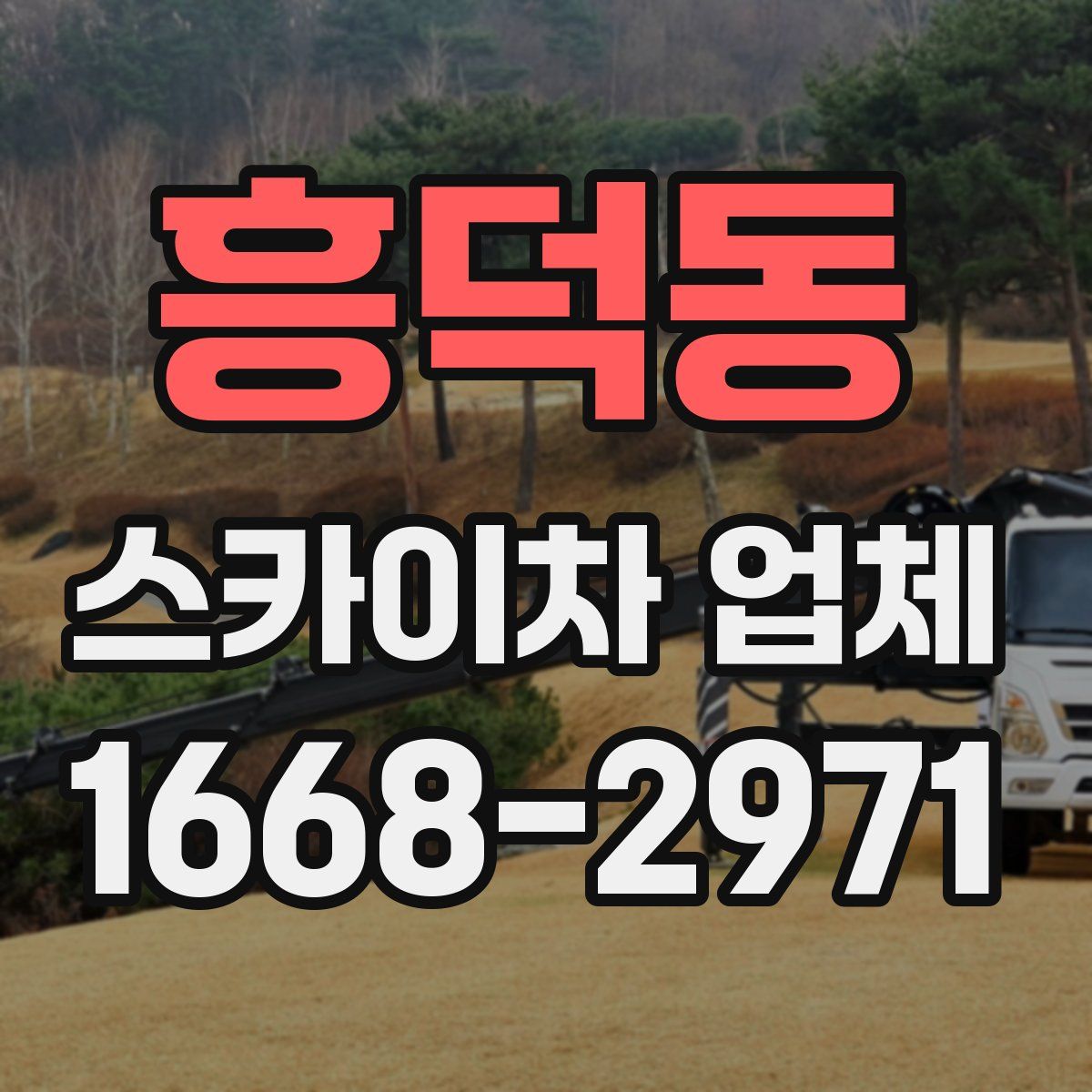 흥덕동 스카이차 업체