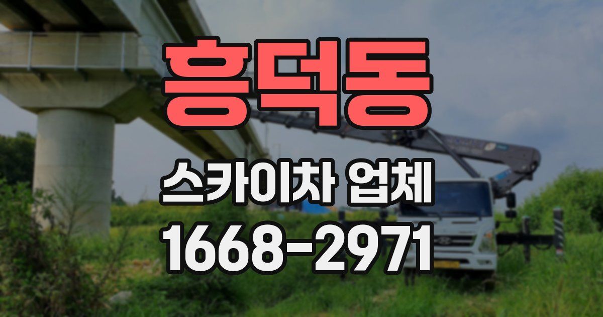 흥덕동 스카이차 업체