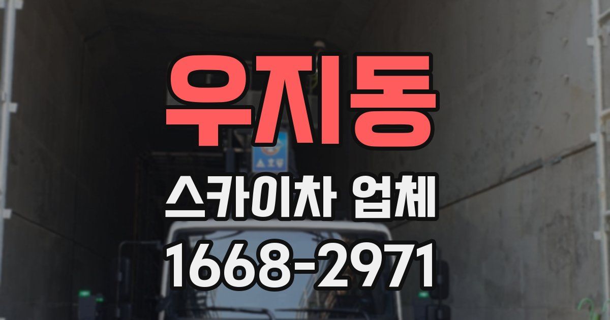 우지동 스카이차 업체