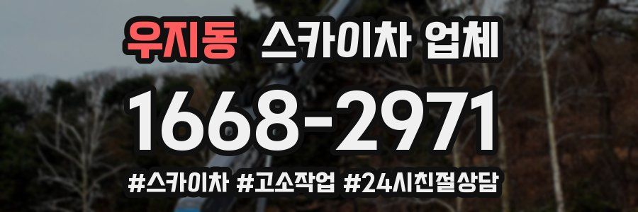 우지동 스카이차 업체