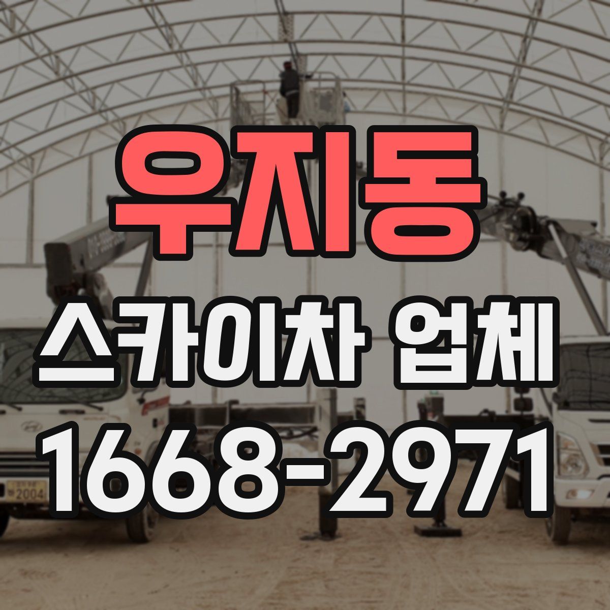 우지동 스카이차 업체