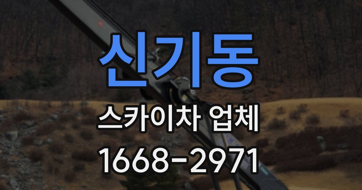신기동 스카이차 업체