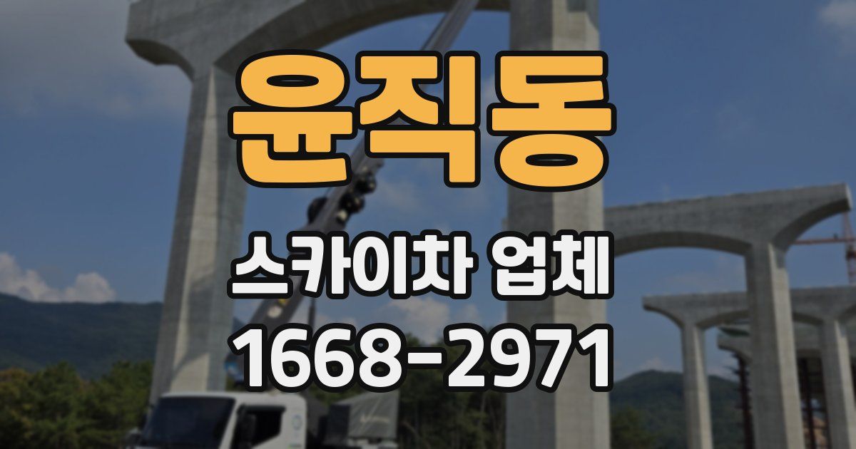 윤직동 스카이차 업체
