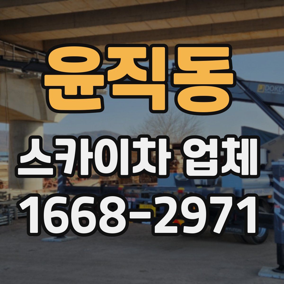 윤직동 스카이차 업체