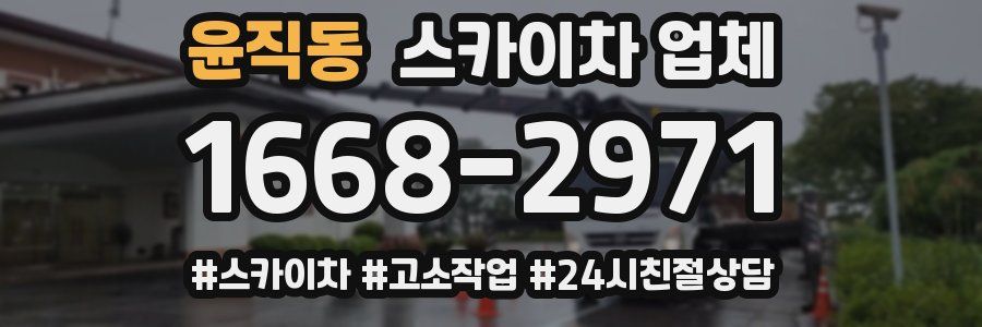 윤직동 스카이차 업체