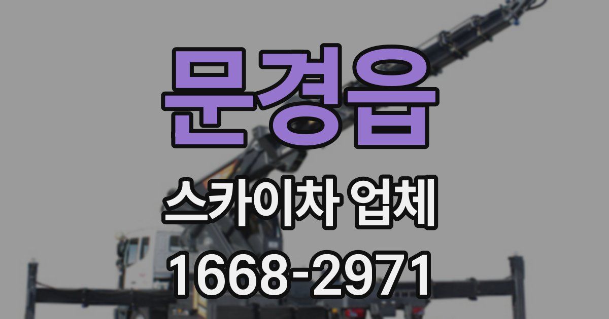 문경읍 스카이차 업체